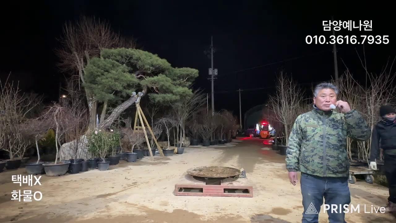 농업법인(주) 담양예나원 26년 2월 28일 토요일 분재 정원수 특수목 실시간경매 라이브방송