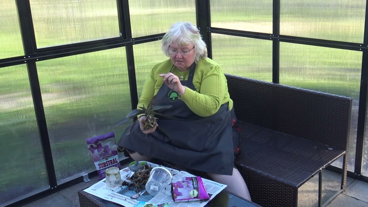 Eneli Käger õpetab orhideed ümber istutama.