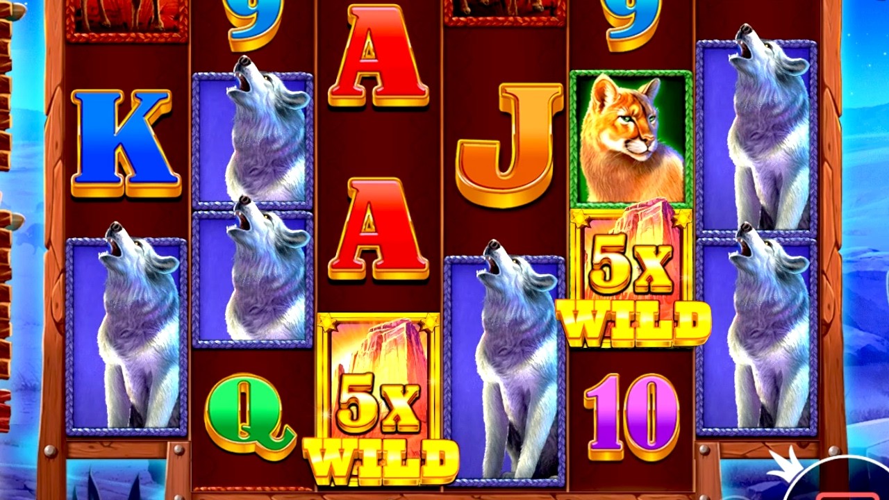 Buffalo King Untamed Builds Up the Wild Multis for Some Big Wins