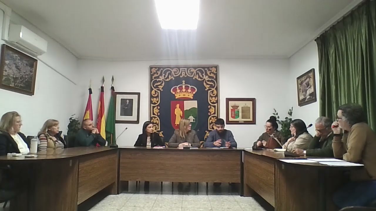 PLENO ORDINARIO 26 02 2026