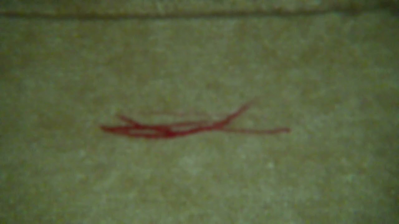 エンゲルス フランク時代 ガウ制度と軍制