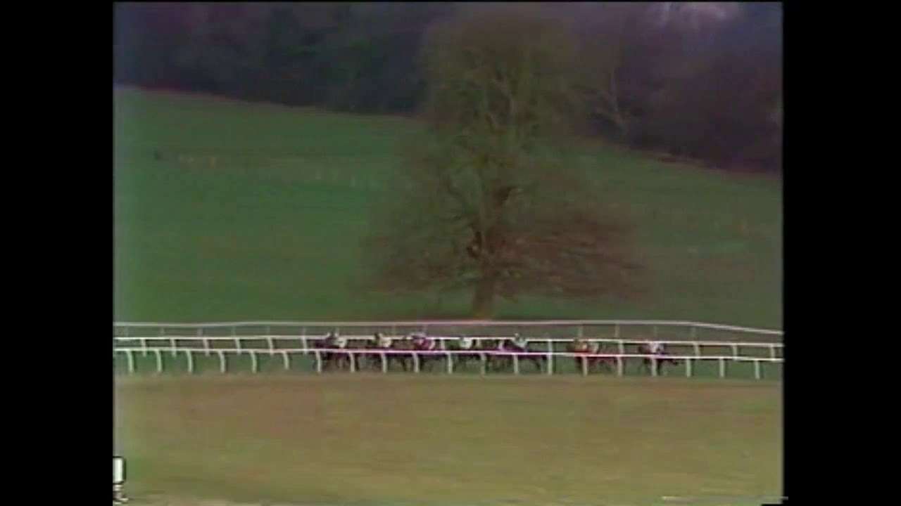 1988 Welsh Grand National Handicap Chase Chepstow Bonanza Boy