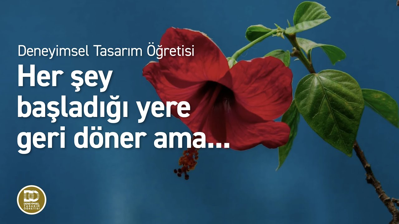 Deneyimsel Tasarım Öğretisi - Her şey başladığı yere geri döner mi?