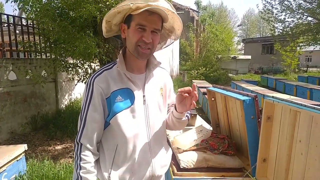 АТВОДКА АЖРАТИШНИ ЯНА БИР УСУЛИ...