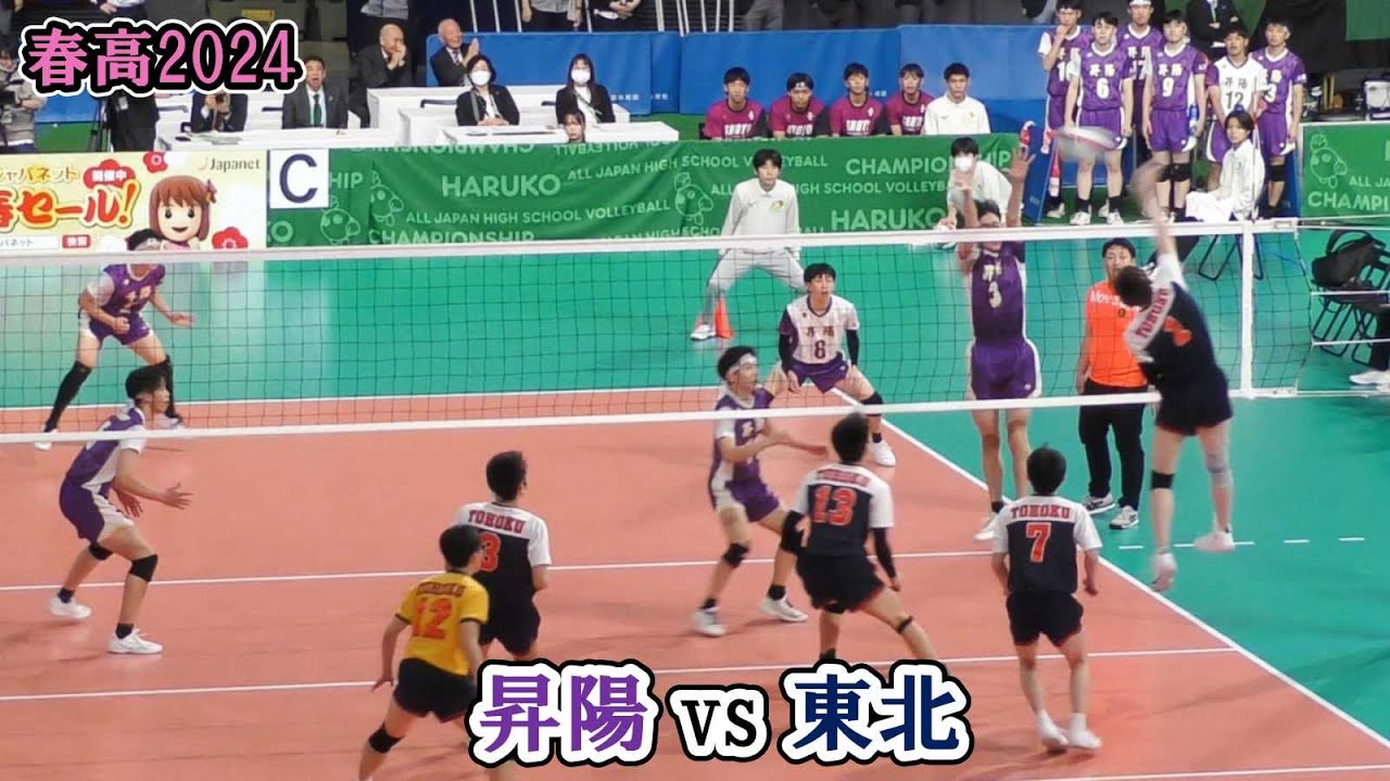 【春高2024】 昇陽 vs 東北 準々決勝 1.2セット フル ｜ #小山海皇 #坂本アンディ世凪 春高バレー