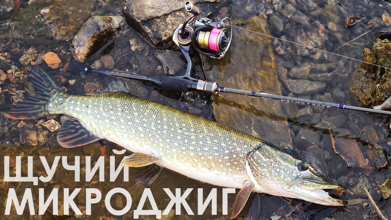 О ТАКОЙ РЫБАЛКЕ Я И НЕ МЕЧТАЛ! С ультралайтом за осенней щукой