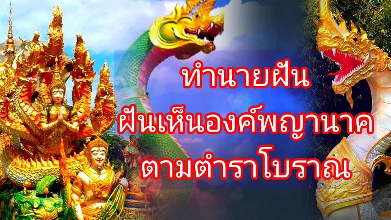 ☘️ทำนายฝัน☘️ #ฝันเห็นพญานาค ในแบบต่างๆ☀️ตำราโบราณ ตีเลขความฝันให้โชค☆นักพยากรณ์วาสนา Amazing