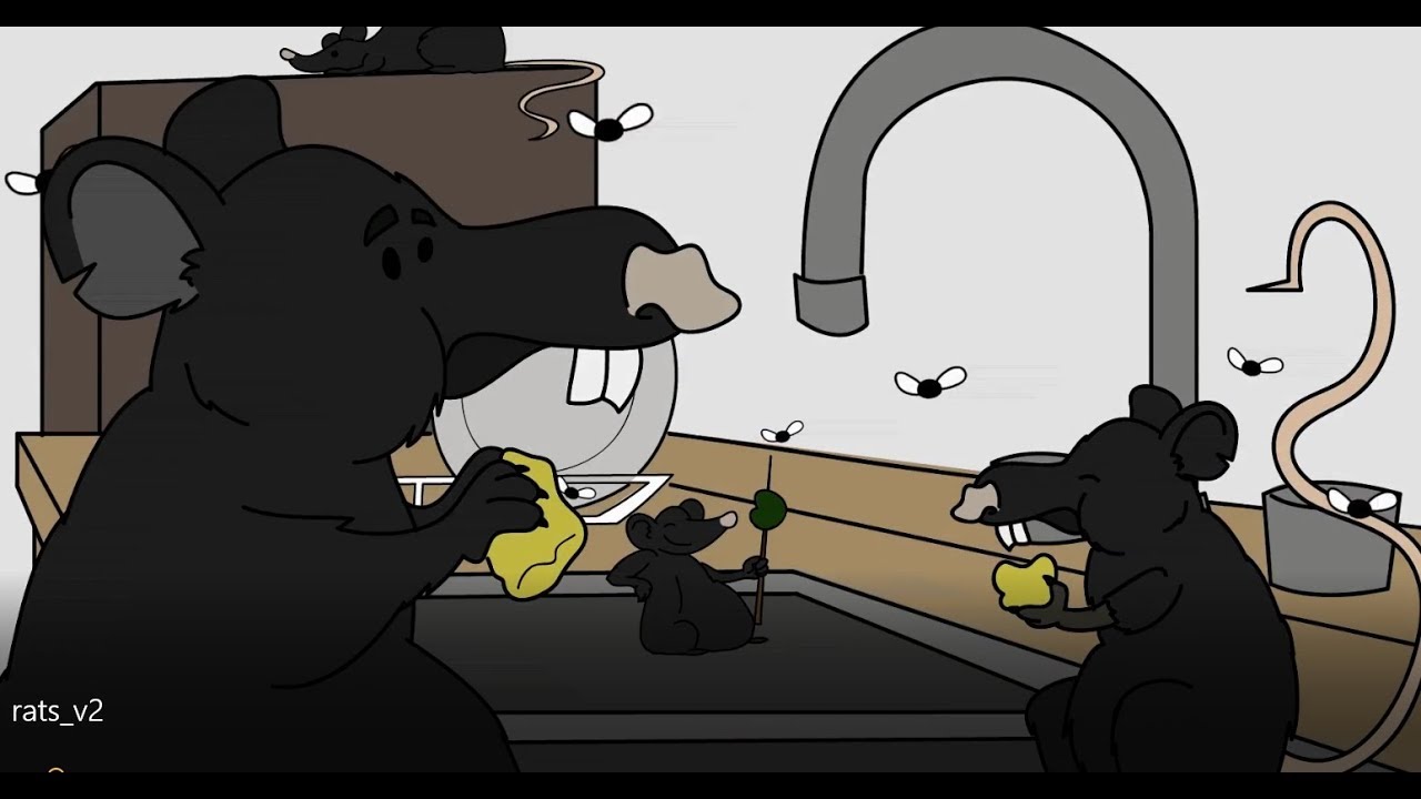 Rat and Mice Control