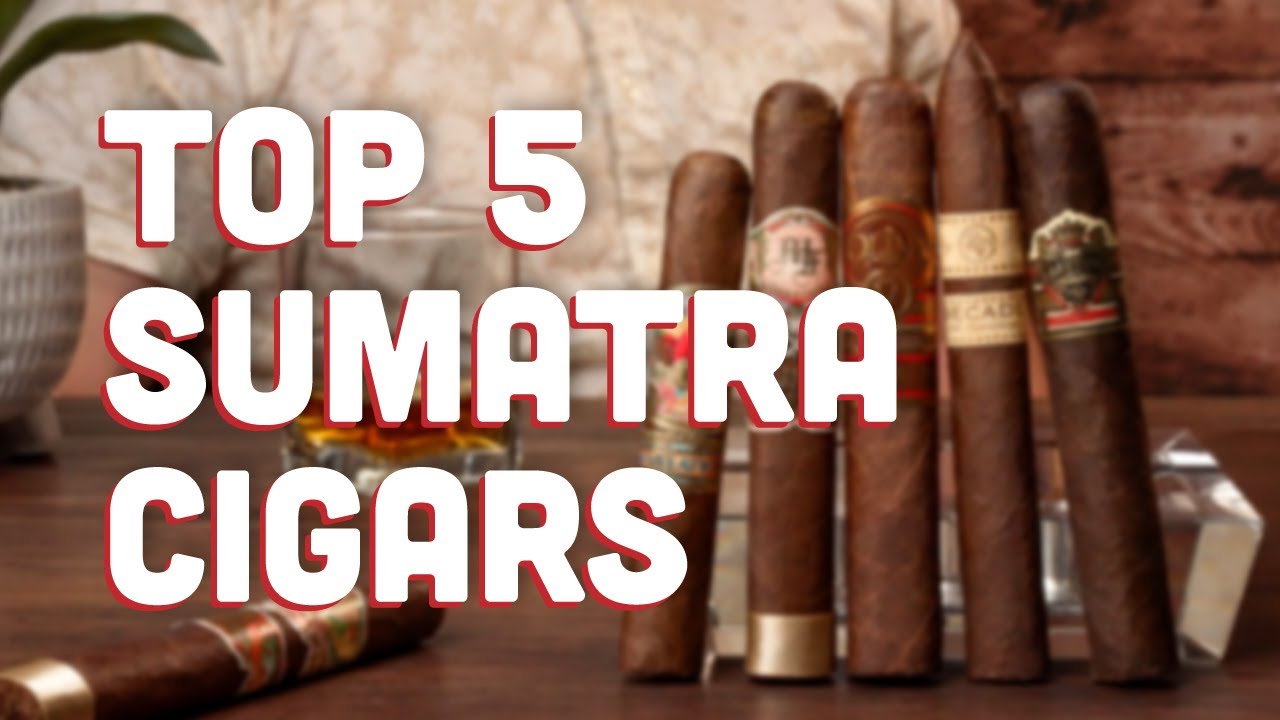 Top Sumatra Cigars: 5 Must Try Blends