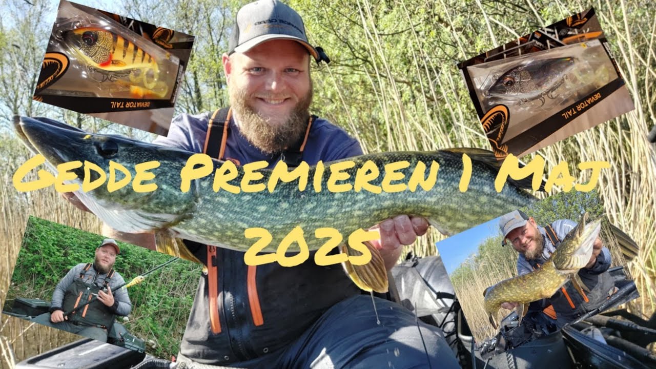 Gedde premieren 2025. 1 maj
