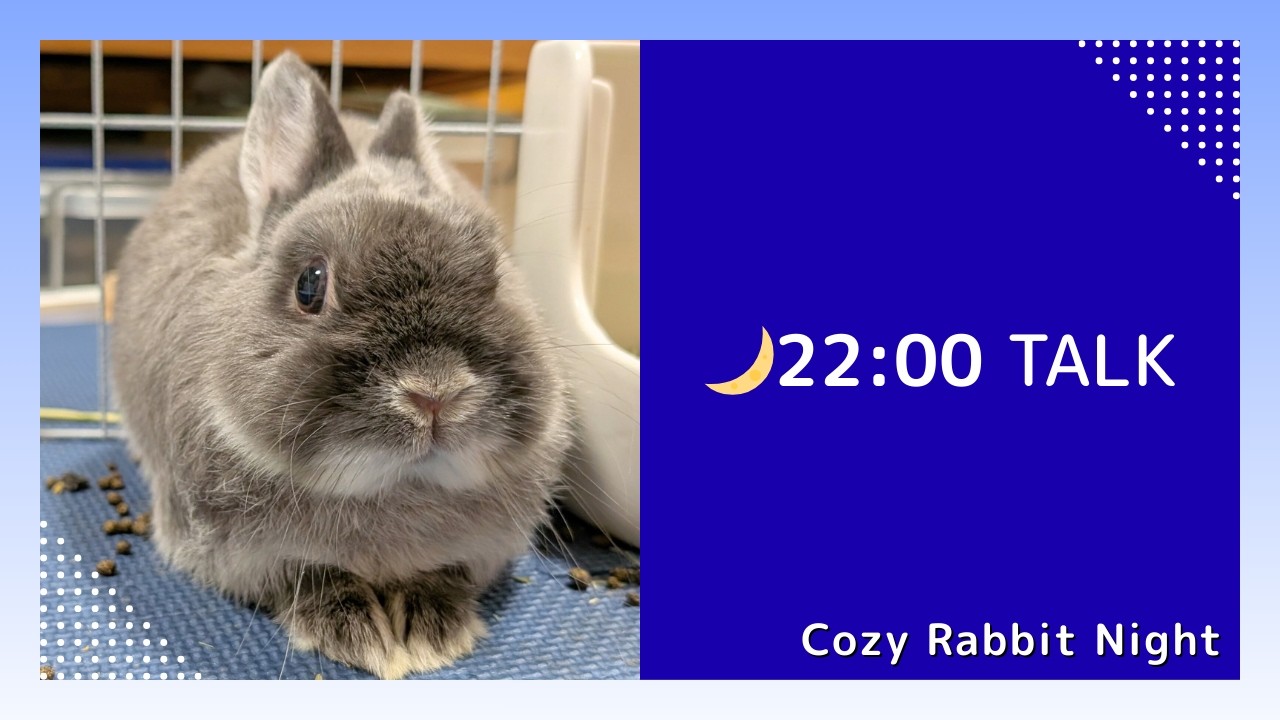 【癒し】うさぎと過ごす夜 🌙 22:00〜声ありトーク｜Cozy Night with Rabbits (Live Talk)