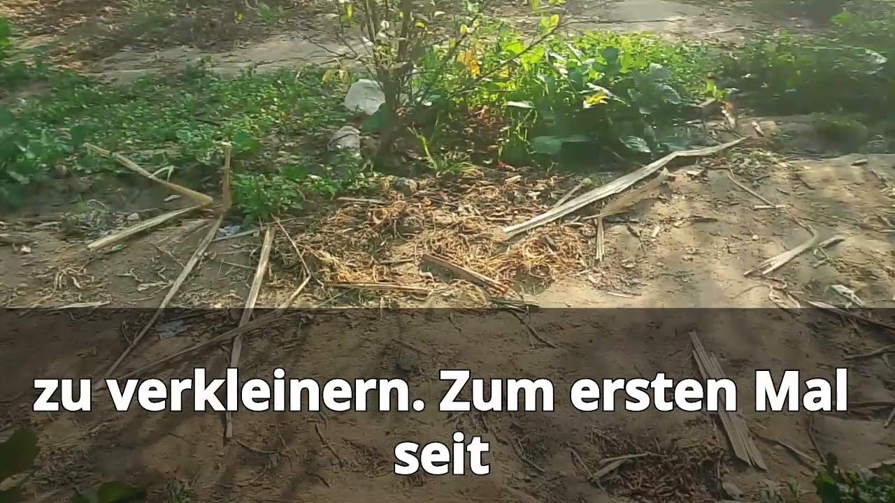 Beim Abendessen machte ich einen Witz über meinen Mann – seine knallharte Antwort schockierte alle