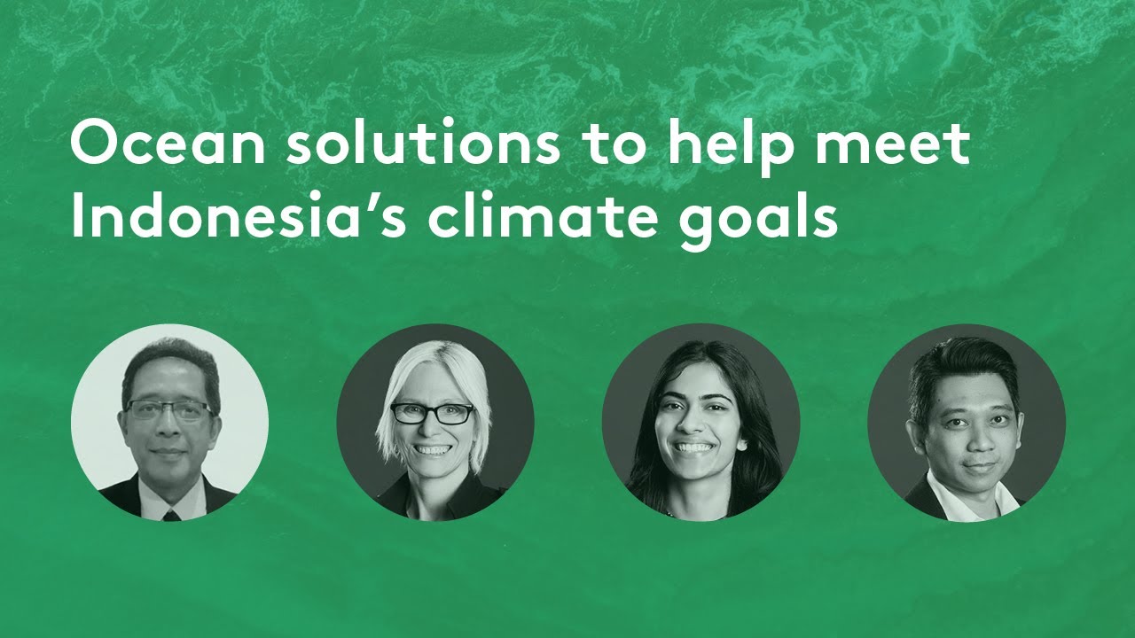Sea of opportunity: The role of ocean mitigation in Indonesia’s decarbonisation – The Briefing Room