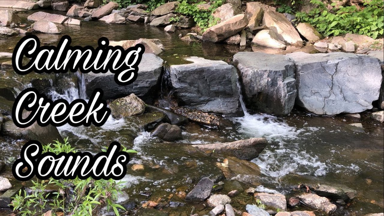 10 Minutes of Creek Sounds | Nature ASMR