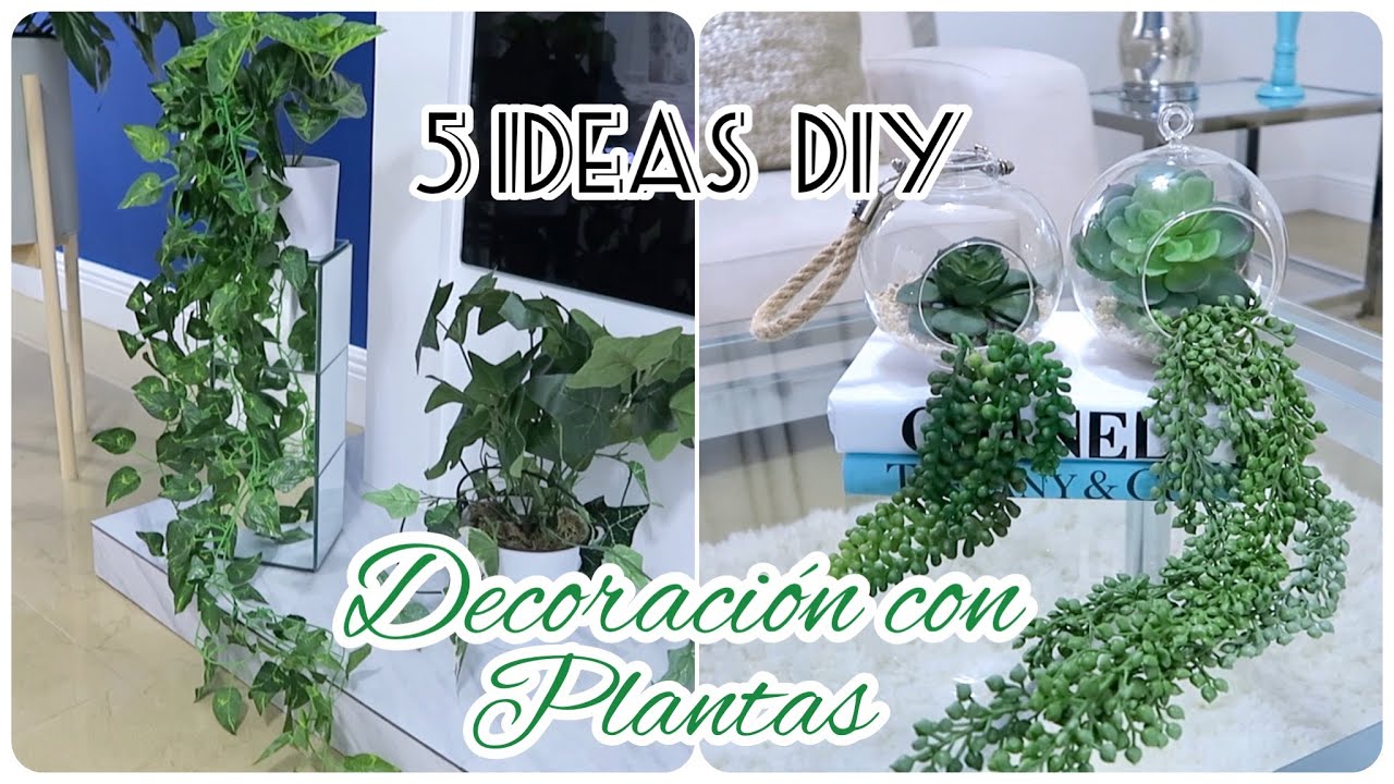 CÓMO DECORAR CON PLANTAS  🌿 5 DIY PARA DECORAR MACETAS #decoracionesconplantas