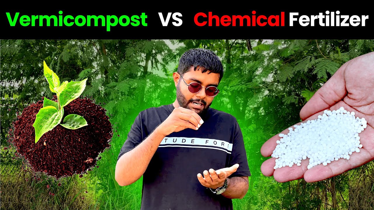 Organic Vs Chemical Fertilizers | वर्मीकम्पोस्ट और रासायनिक उर्वरक में क्या अंतर है?