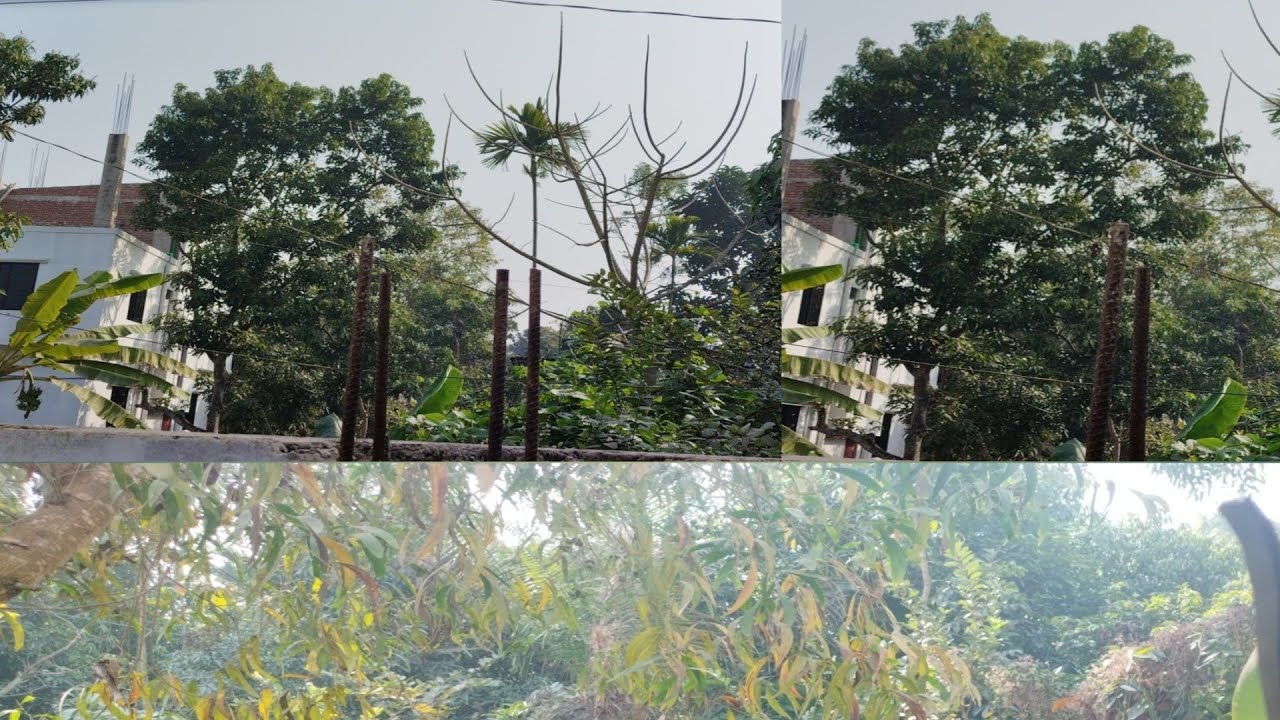  নিজেদের যদি বাড়িতে একটা ঘর থাকতো তাহলে আর বাসা ভাড়া থাকতাম না