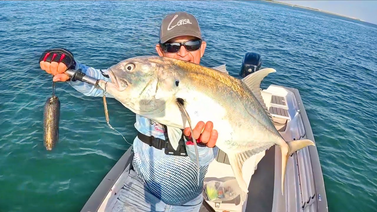 BUSCANDO PESCA en BARCOS UNDIDOS