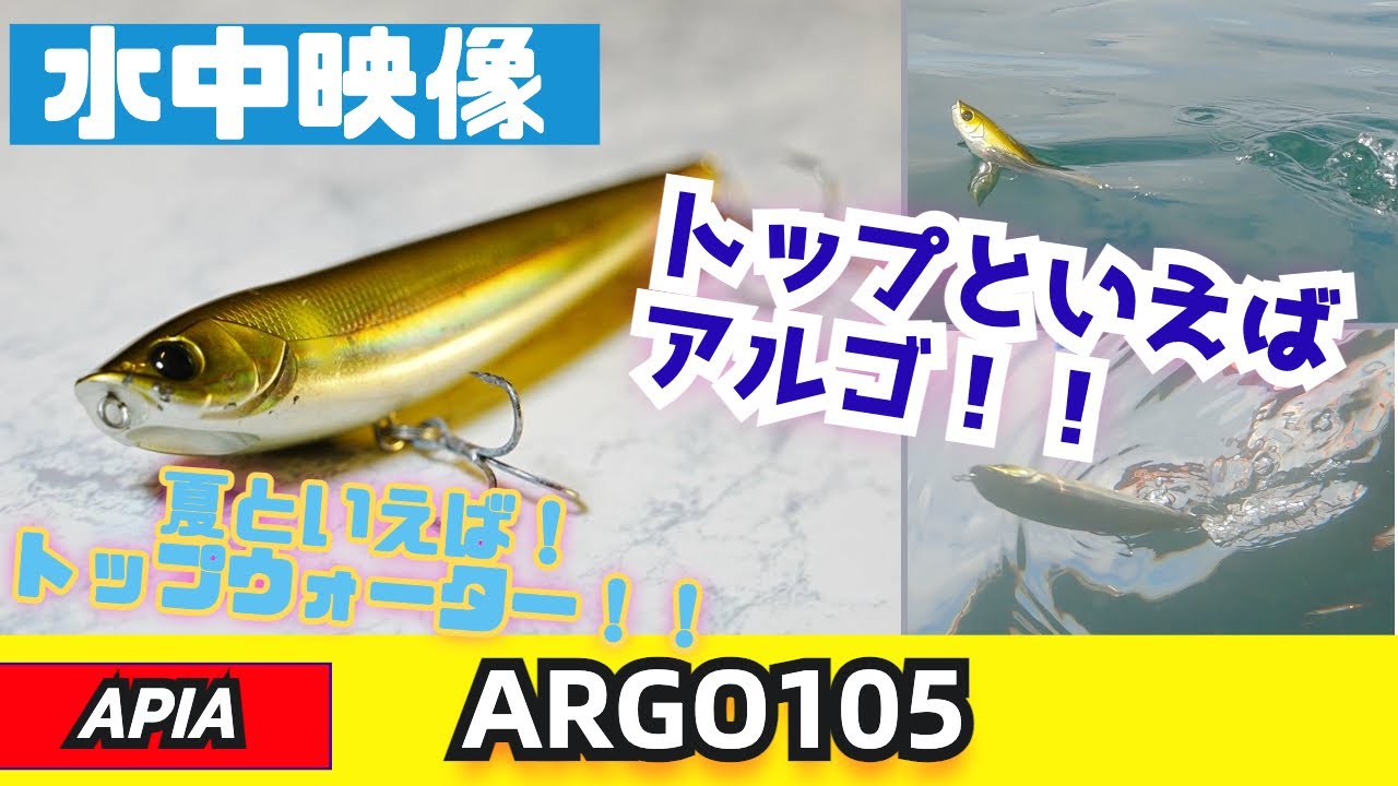 【水中映像】アルゴ105で攻略しよう！夏のトップウォーターゲーム！【シーバス】