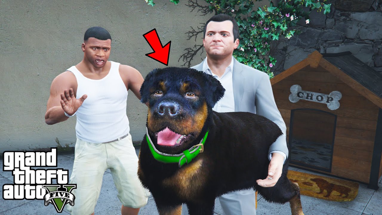 What Happens if CHOP IS KIDNAPPED in GTA 5 (Save Chop)