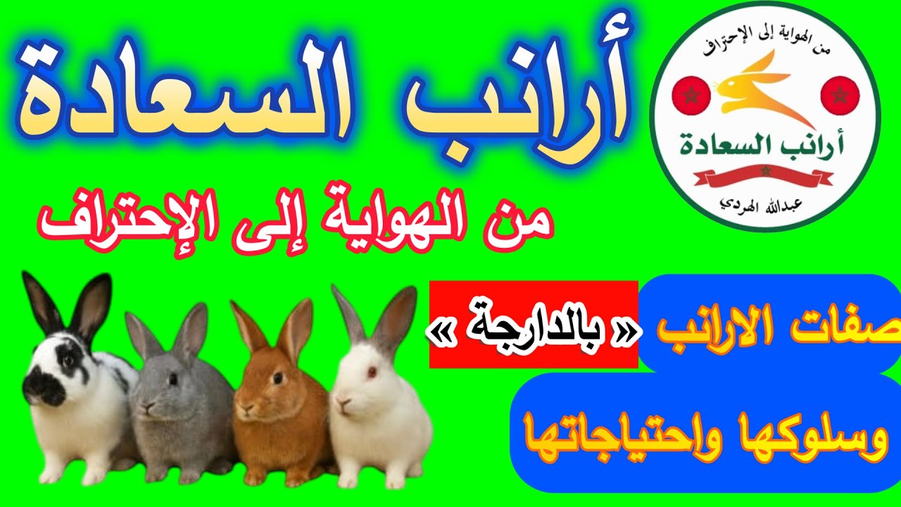 الفيديو رقم (14) { الصفات ، والسلوكيات ، والإحتياجات الأساسية للأرانب } بالدارجة