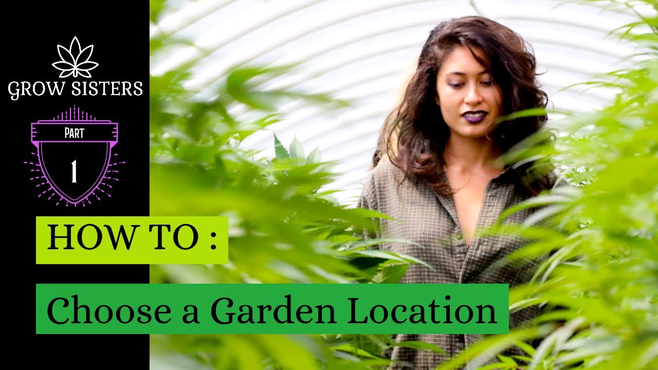 Sister Grow Your Own! How to choose a Garden Location