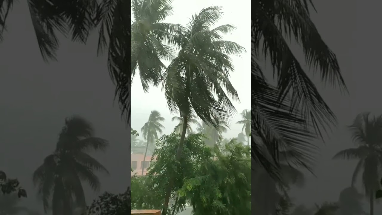#konaseema #Rain#Shorts