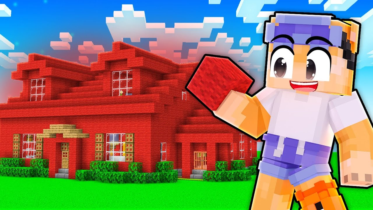 CE POTI FACE cu DOAR O CULOARE in Minecraft?