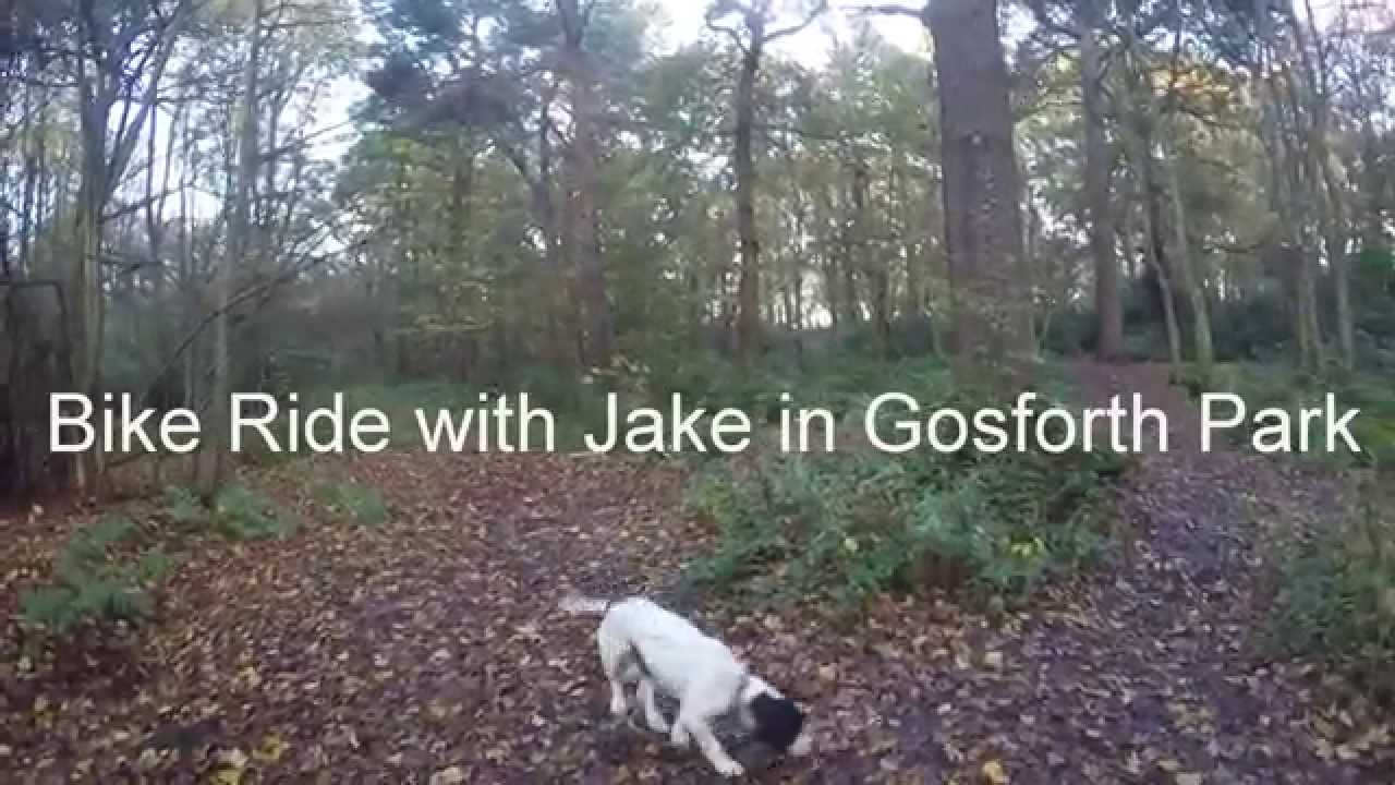 A Day Out With Jake in Gosforth Park