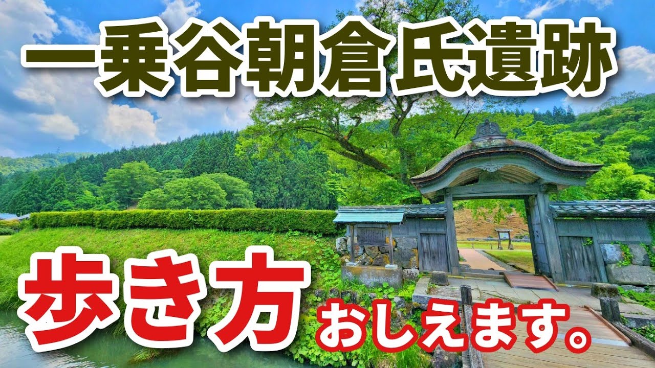 【一乗谷朝倉氏遺跡】現役ツアコン目線で歩く！一乗谷朝倉氏遺跡