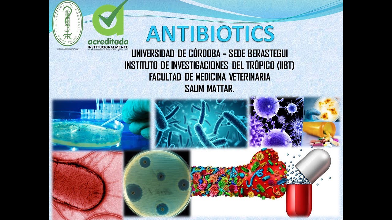 Antibióticos - IIBT - Facultad de Medicina Veterinaria y Zootecnia - Universidad de Córdoba