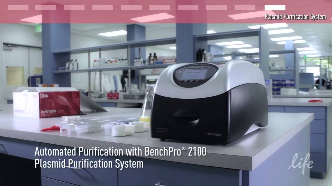 How to Extract Plasmid DNA