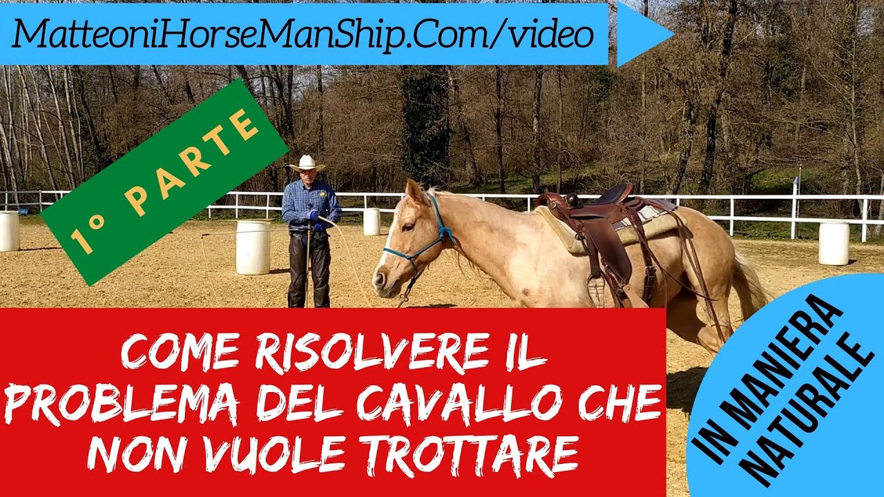 Come risolvere il problema del cavallo che non vuole trottare 1° Parte