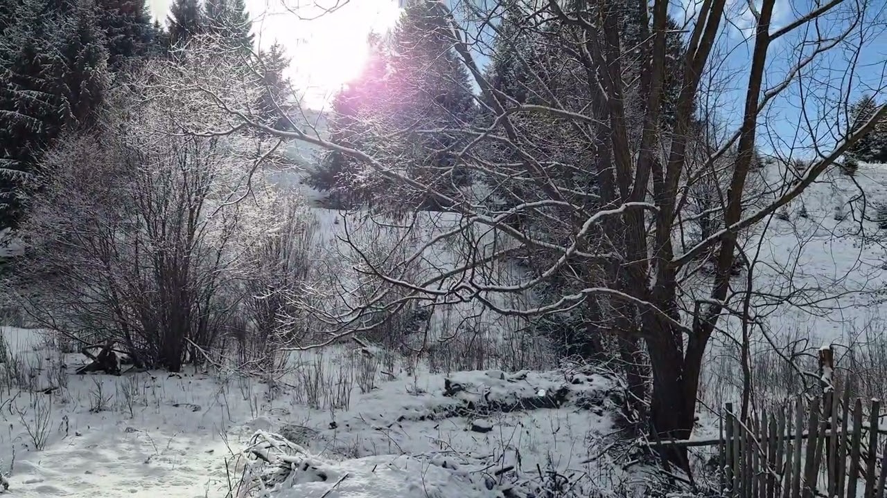 O zi de iarnă la țară 🤍🌲