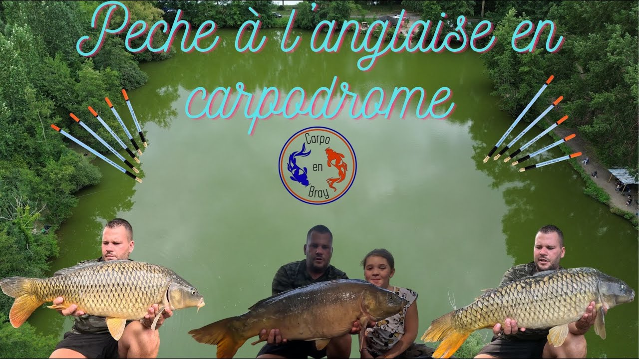 Pêche à l'anglaise en carpodrome (@julienmultifishing )