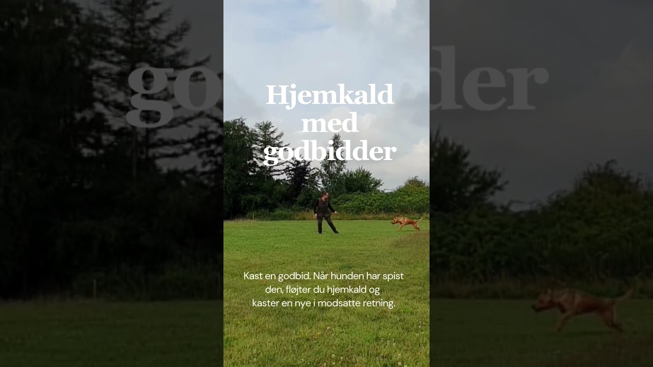 Det hurtige hjemkald