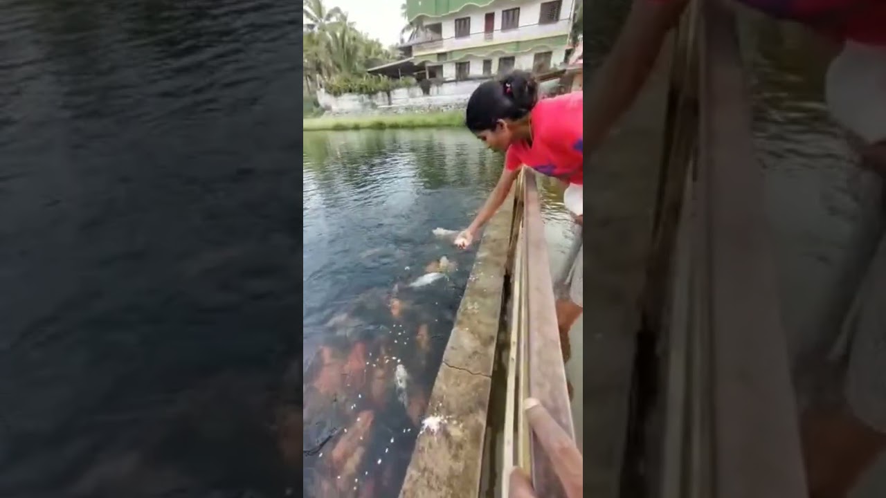 fishing