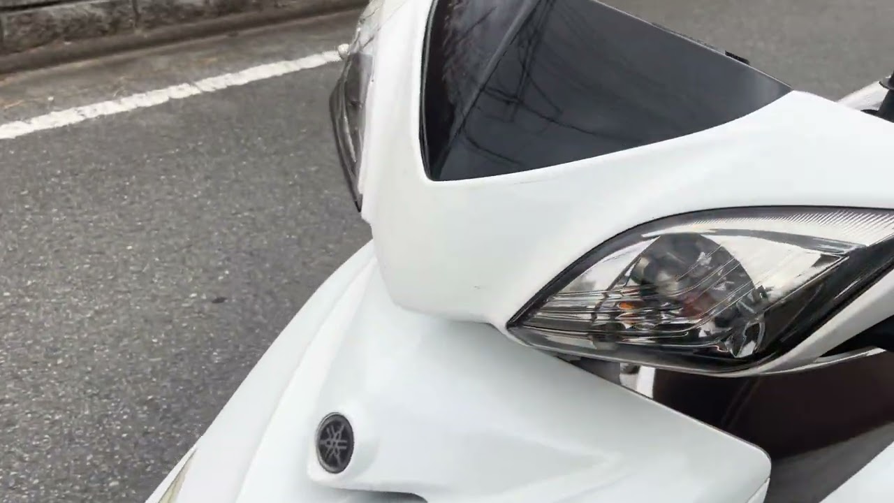 シグナス3型　国内　白