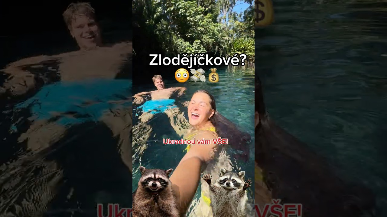 Zloděj&iacute;čkov&eacute; v Mexiku?😳😭💰 (OKRADOU V&Aacute;S⚠️)