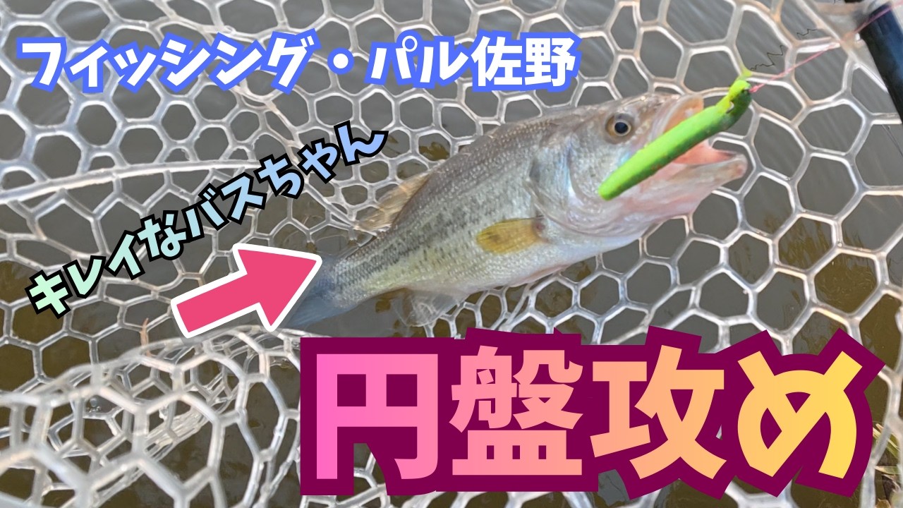 【バス管理釣り場】栃木県のフィッシング・パル佐野でいつもの釣りをしつつ円盤攻め。
