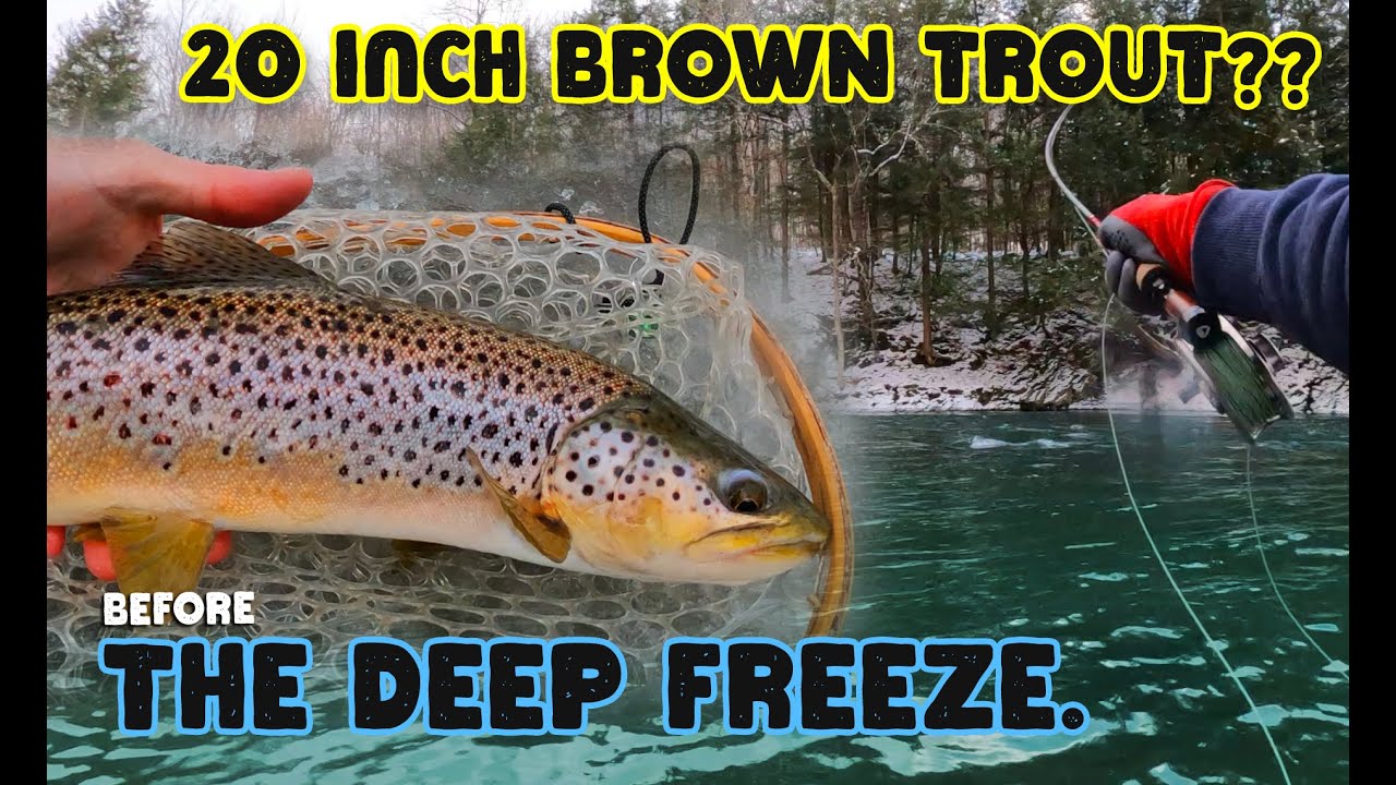 Last Fly Fishing Trip Before the Deep Freeze | Big Brown Trout on a Prince Nymph