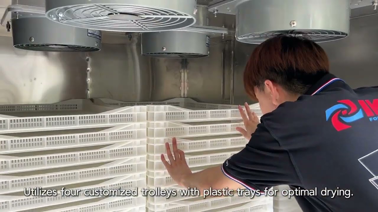 Customized Noodle Dryer Room | IKE Advanced Noodle Drying Solutions