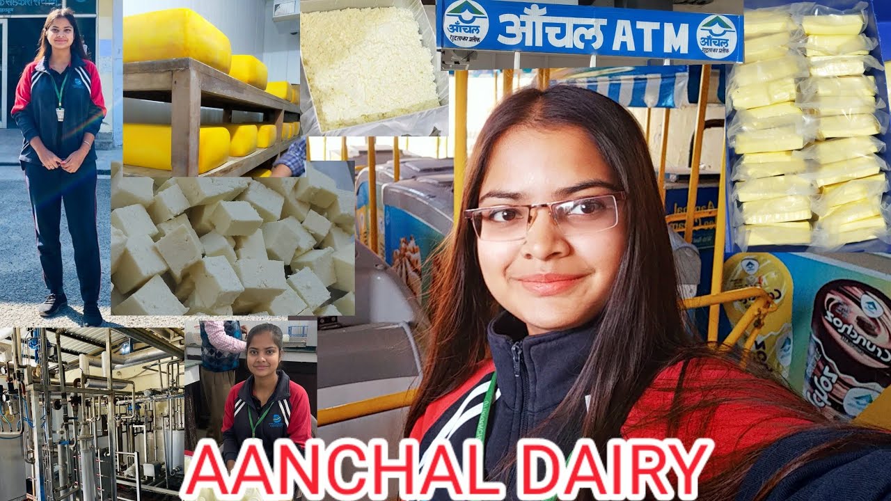 Aanchal Dairy Dehradun FACTORY Visit/Cheese,Paneer, Dahi & Butter Making😍#milk#cheese#butter#factory