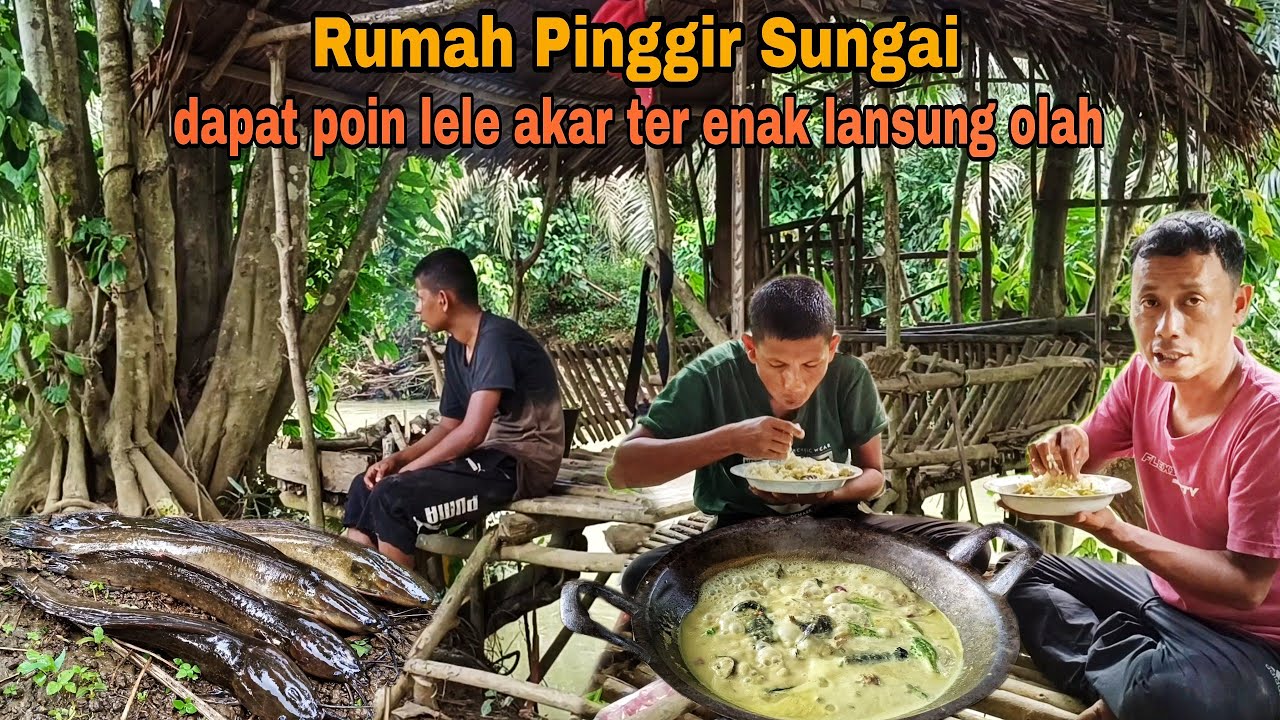 CAMPING GUBUK ATAS SUNGAI || DAPAT POIN LELE AKAR LANGSUNG OLAH