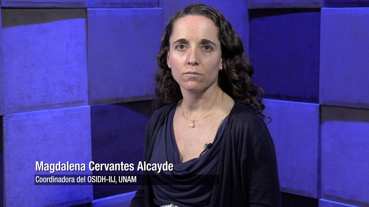 Sentencia de la Corte IDH: Alvarado Espinoza y Otros vs. M&eacute;xico, IIJ-UNAM