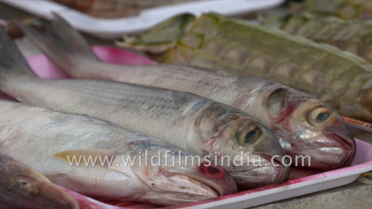 Fresh seafood stall on a West Bengal beach at Bakkhali