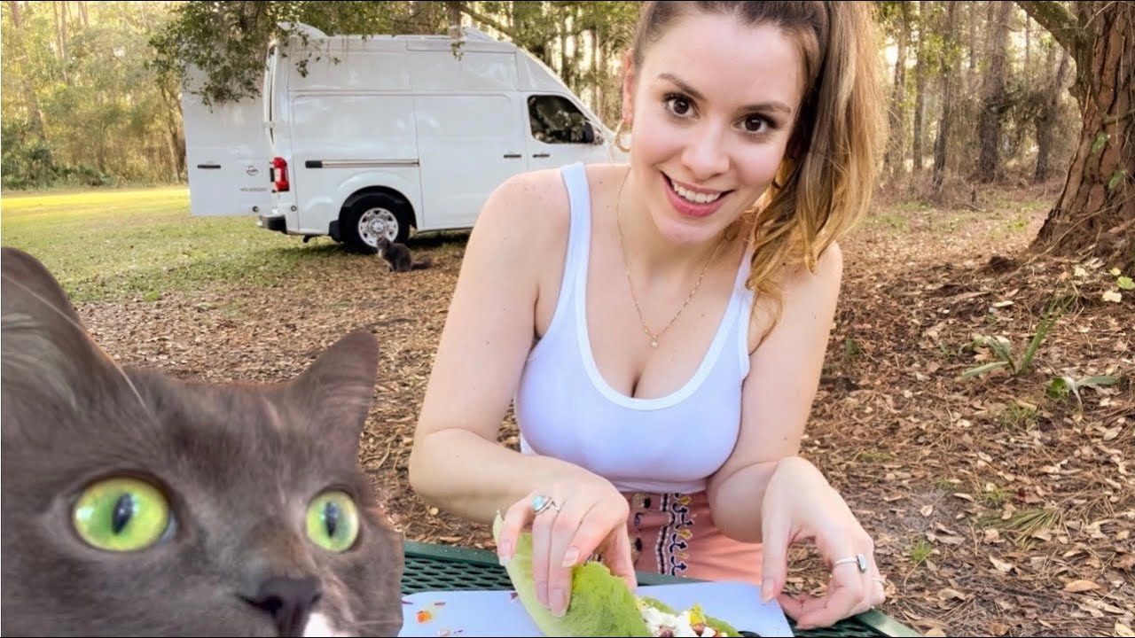 A Typical Day in My Van | No Adventure, Just Me