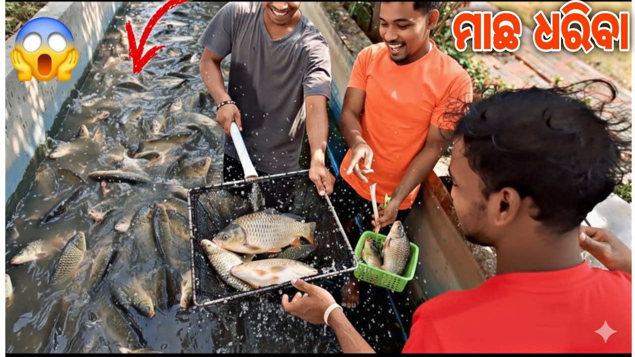 ଆଜି ଭାଗ୍ୟ ଖୋଲି ଗଲା! #odiavlogs #nsarojvlogs 