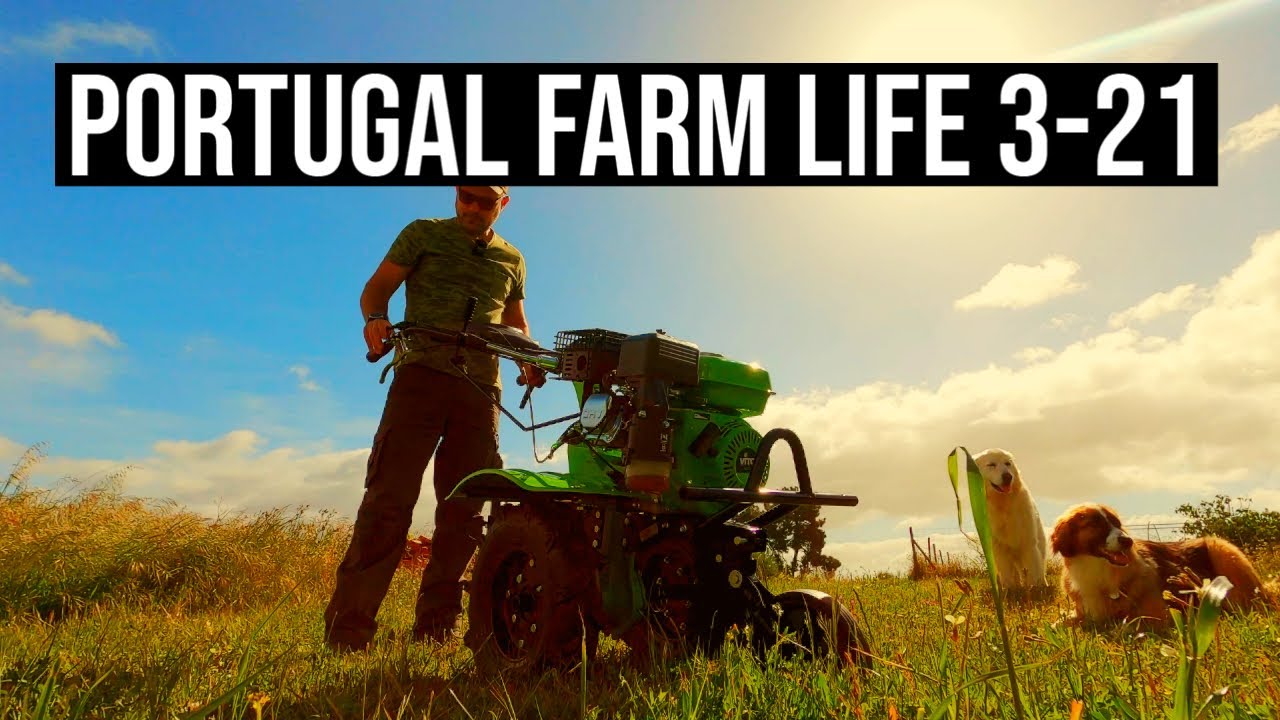 Vegetable Garden Prepping | PORTUGAL FARM LIFE S3-E21 ⚡