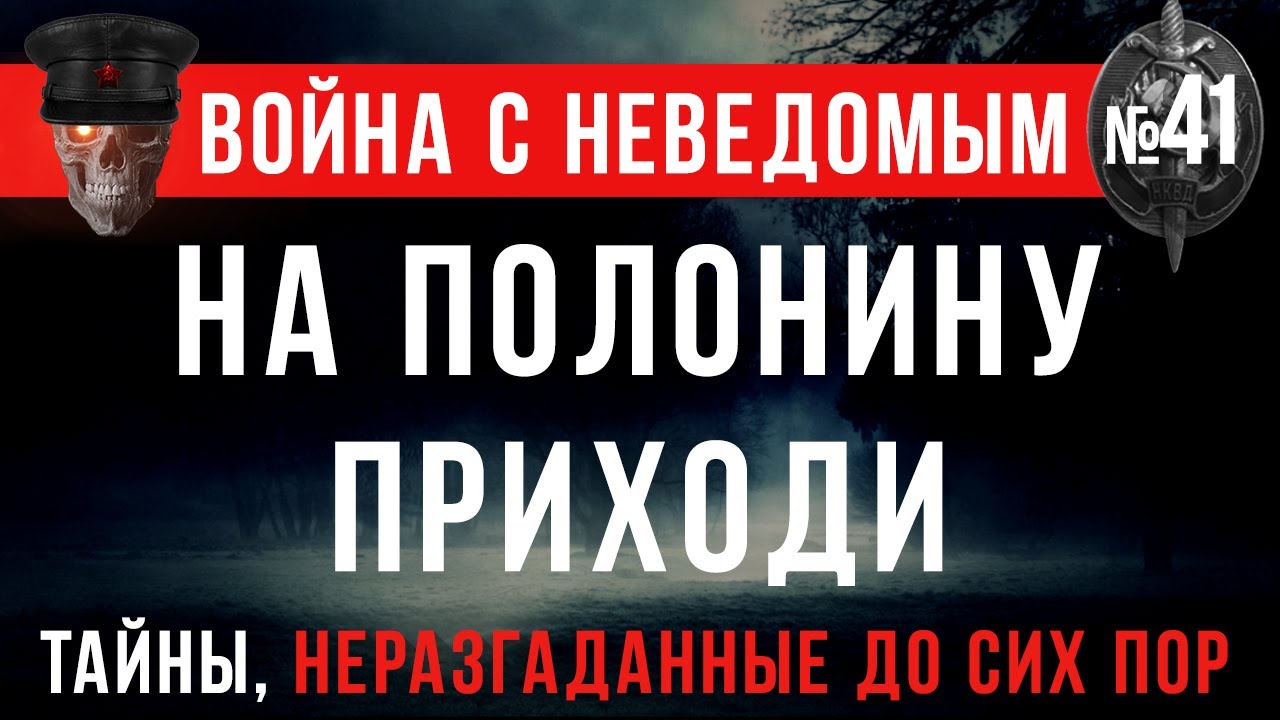 Война с неведомым #41 «На полонину приходи»
